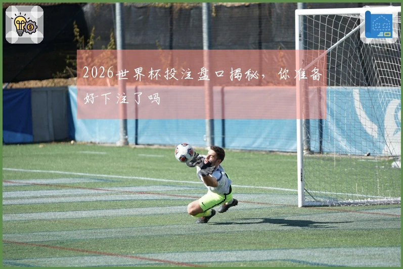 2026世界杯投注盘口揭秘，你准备好下注了吗