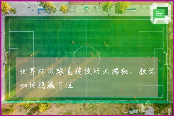 世界杯买球竞猜技巧大揭秘，教你如何稳赢下注