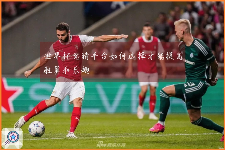 世界杯竞猜平台如何选择才能提高胜算和乐趣
