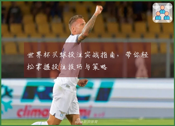 世界杯买球投注实战指南，带你轻松掌握投注技巧与策略