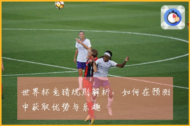 世界杯竞猜规则解析，如何在预测中获取优势与乐趣