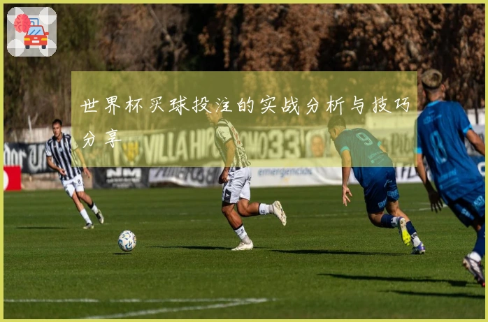 世界杯买球投注的实战分析与技巧分享