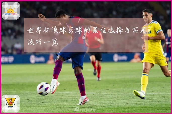 世界杯滚球买球的最佳选择与实用技巧一览