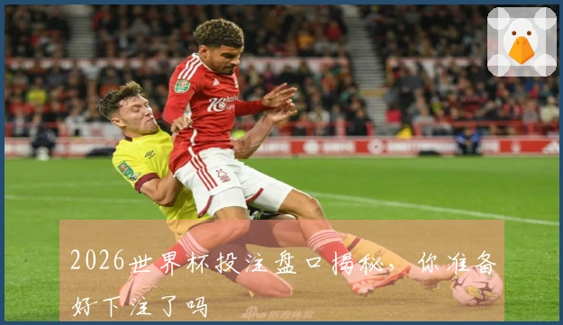 2026世界杯投注盘口揭秘，你准备好下注了吗