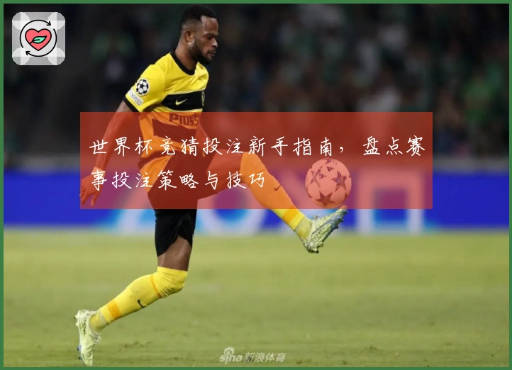 世界杯竞猜投注新手指南，盘点赛事投注策略与技巧