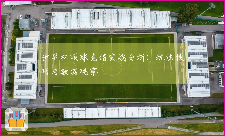世界杯滚球竞猜实战分析：玩法技巧与数据观察