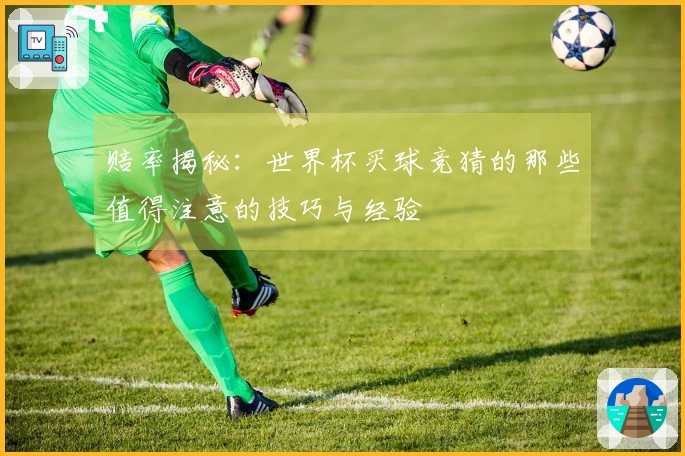 赔率揭秘：世界杯买球竞猜的那些值得注意的技巧与经验