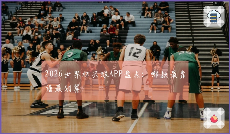 2026世界杯买球APP盘点：哪款最靠谱最划算
