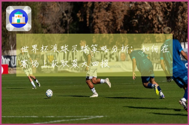 世界杯滚球买球策略分析：如何在赛场上获取最大回报