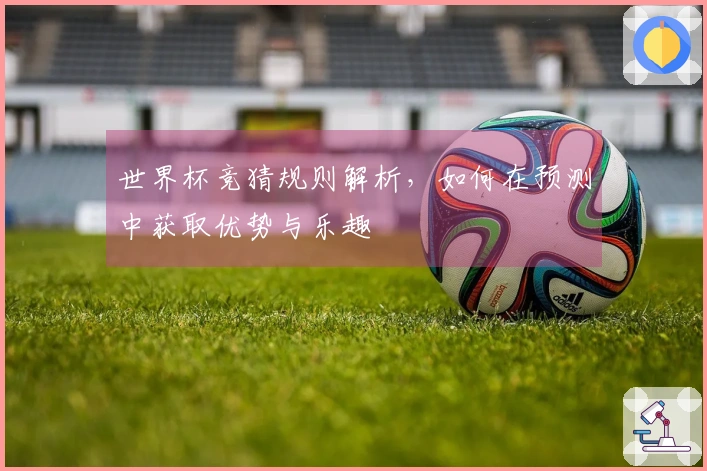 世界杯竞猜规则解析，如何在预测中获取优势与乐趣