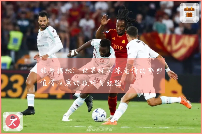 赔率揭秘：世界杯买球竞猜的那些值得注意的技巧与经验